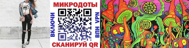 даркнет официальный сайт Майкоп Галлюциногенные грибы прущие грибы