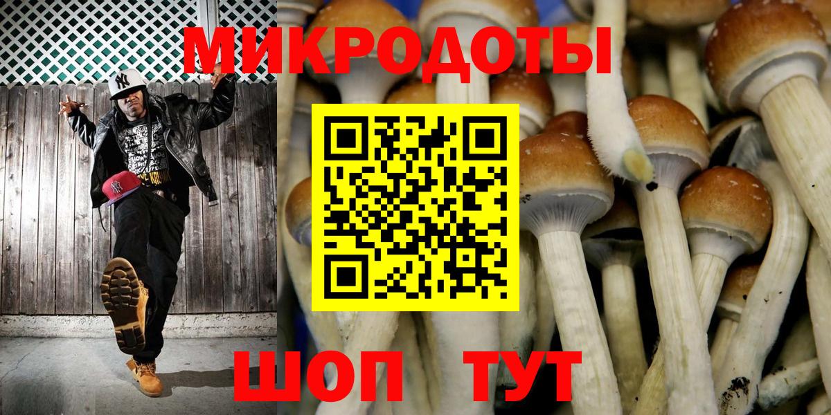 Галлюциногенные грибы прущие грибы  как найти   Майкоп  Вход с VPN 