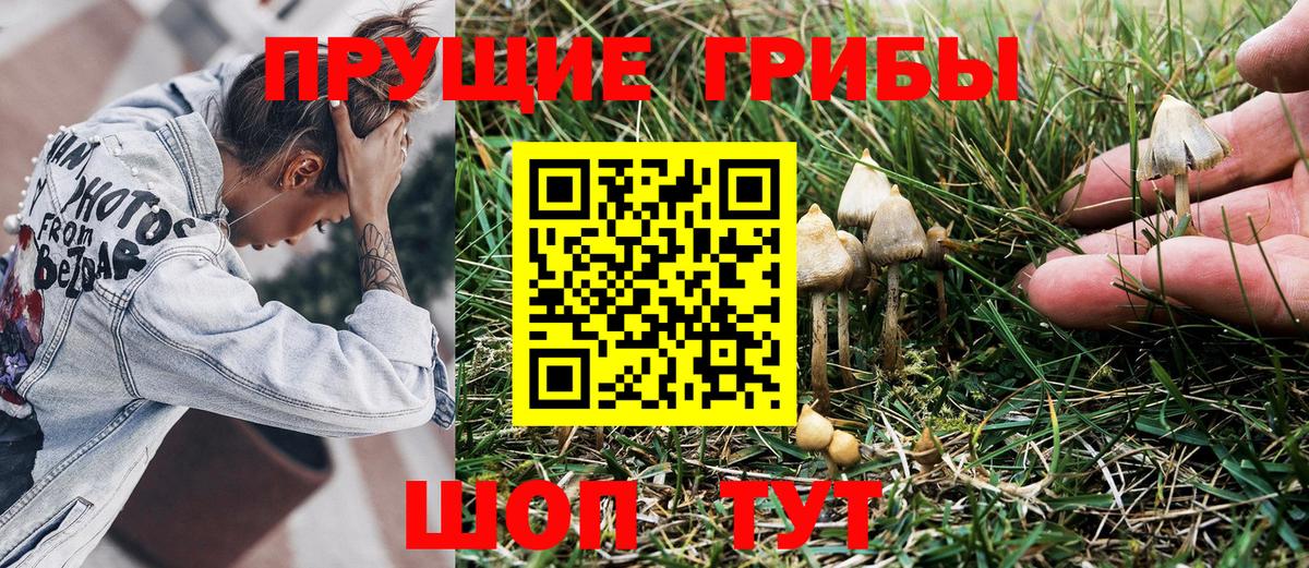 Амфетамин Майкоп